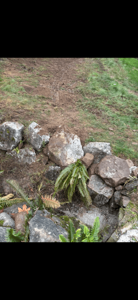 Property drainage installation