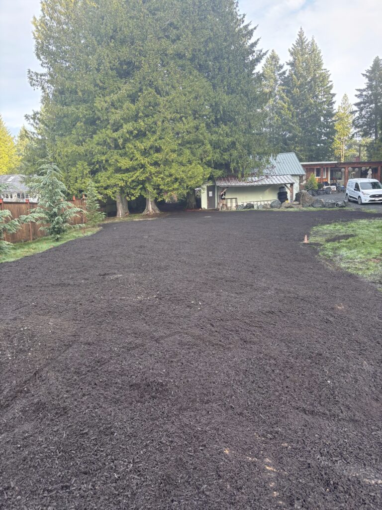 Completed septic field installation